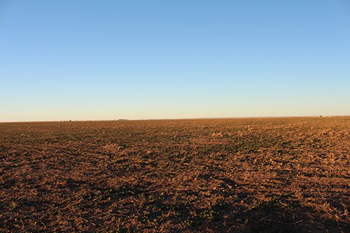 TRACT 1 - REAL ESTATE & MINERAL AUCTION - 640+/- ACRES & PRODUCING MINERALS OFFERED IN 8 TRACTS IN MORTON COUNTY, KANSAS